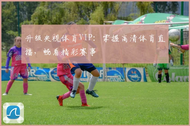 升级央视体育VIP：掌握高清体育直播，畅看精彩赛事