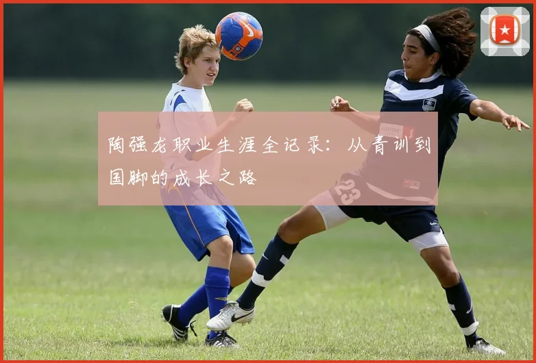 陶强龙职业生涯全记录：从青训到国脚的成长之路