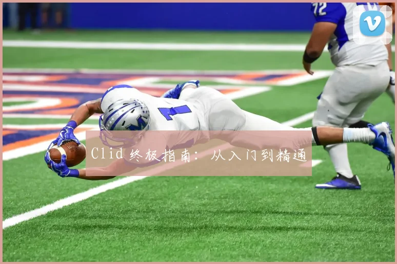 Clid 终极指南：从入门到精通