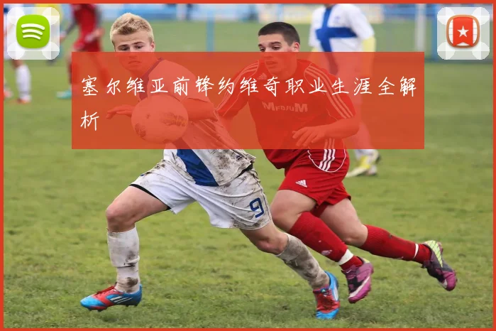 塞尔维亚前锋约维奇职业生涯全解析