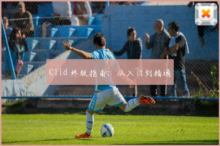 Clid 终极指南：从入门到精通